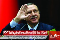إردوغان: علينا إزالة أسباب التباعد بين أبوظبي وأنقرة
