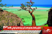 اتفاق بين الإمارات ومنصور هادى لتأجير جزيرة سقطرى لأبوظبي لـ99 سنة