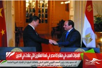 الإمارات السبب في مشاركة مصر في قمة العشرين التي عقدت في الصين