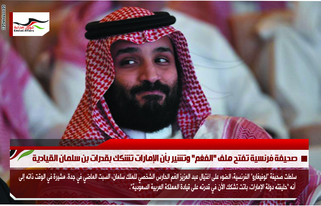 صحيفة فرنسية تفتح ملف "الفغم" وتشير بأن الإمارات تشكك بقدرات بن سلمان القيادية