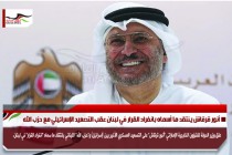 أنور قرقاش ينتقد ما أسماه بانفراد القرار في لبنان عقب التصعيد الإسرائيلي مع حزب الله