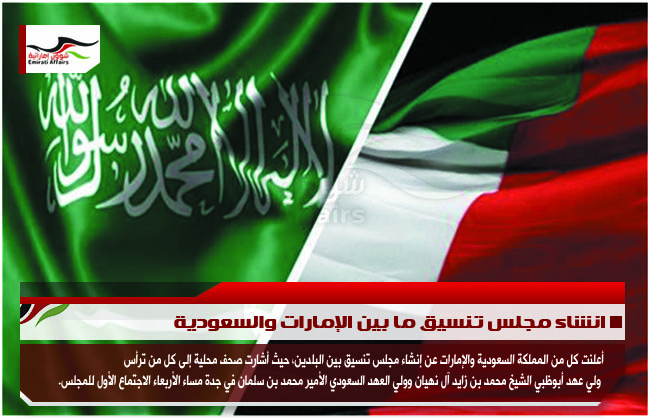انشاء مجلس تنسيق ما بين الإمارات والسعودية