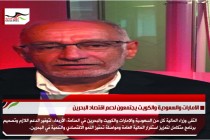 عبدالخالق عبدالله يحرّض ضد قطر بعد دعمها تركيا