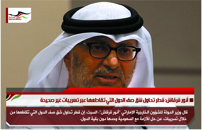 أنور قرقاش: قطر تحاول شق صف الدول التي تقاطعها عبر تسريبات غير صحيحة