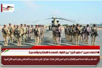 انتهاء تمرين "صقور الليل" بين القوات المسلحة الإماراتية والمصرية