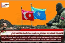 السلطات الإماراتية تعزز نفوذها في باب المندب عسكرياً لمواجهة النفوذ التركي