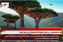 حاكم سقطرى .. يحذر من خطورة النشاط الإماراتي في جنوب اليمن