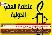منظمة العفو الدولية تراسل محمد بن زايد للإفراج عن خلية حزب الله