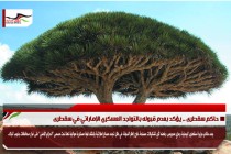 حاكم سقطرى .. يؤكد بعدم قبوله بالتواجد العسكري الإماراتي في سقطرى