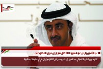 عبدالله بن زايد يضع 4 شروط للاتفاق مع ايران قبيل المفاوضات