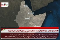 فاشينال تايمز .. ثورة السودان فتحت الصراع الخليجي في القرن الأفريقي على مصرعيه