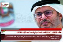 أنور قرقاش .. خفضنا التواجد العسكري في اليمن تمهيداً لإعادة الانتشار