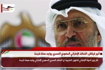 أنور قرقاش: التحالف الإماراتي السعودي المصري يواجه حملة شرسة