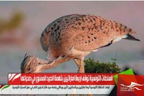 السلطات التونسية توقف اربعة اماراتيين بتهمة الصيد الممنوع في صحرائها