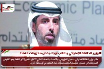 وزير الطاقة الإماراتي يطالب أوبك بخض مخزونات النفط