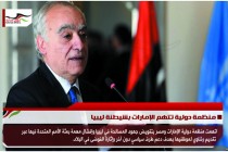 منظمة دولية تتهم الإمارات بشيطنة ليبيا