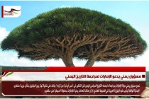 مسؤول يمني يدعو الإمارات لمراجعة التاريخ اليمني