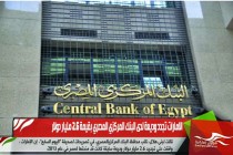 الامارات تجدد وديعة لدى البنك المركزي المصري بقيمة 2.6 مليار دولار