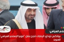 بولتكس توداي: الإمارات تنجح بنقل "فوبيا الإسلام السياسي" للسويد