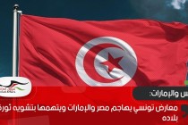معارض تونسي يهاجم مصر والإمارات ويتهمها بتشويه ثورة بلاده