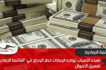 لهذه الأسباب تواجه الإمارات خطر الإدراج في "القائمة الرمادية" لغسيل الأموال