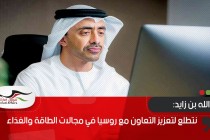 عبدالله بن زايد: نتطلع لتعزيز التعاون مع روسيا في مجالات الطاقة والغذاء