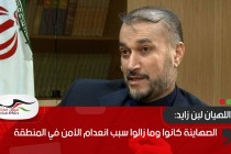 عبداللهيان لبن زايد: الصهاينة كانوا وما زالوا سبب انعدام الأمن في المنطقة