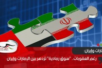 رغم العقوبات.. "سوق رمادية" تزدهر بين الإمارات وإيران