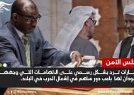 رد إماراتي رسمي على اتهامات السودان لها في مجلس الأمن