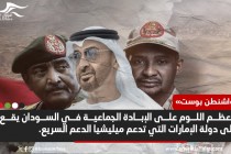 صحيفة أمريكية تكشف أن الإمارات أكبر المتورطين في الإبادة الجماعية بالسودان