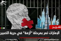 تقرير: الإمارات تمر بمرحلة "أزمة" في حرية التعبير