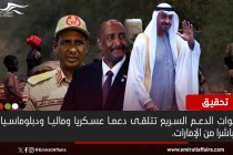 تحقيق مستقل يدين "الدعم السريع" ويتهم الإمارات وينتقد تجاهل أزمة السودان