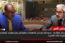 سجال إماراتي - سوداني في مجلس الأمن .. وقرقاش يعزز موقف أبوظبي بتغريدة
