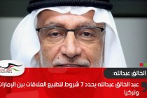 عبد الخالق عبدالله يحدد 7 شروط لتطبيع العلاقات بين الإمارات وتركيا !