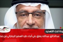 عبدالخالق عبدالله يعلق على أنباء طرد السفير الإماراتي من مصر