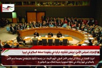 الإمارات لمجلس الأمن: نرفض تشكيك تركيا في جهودنا لحفظ السلام في ليبيا